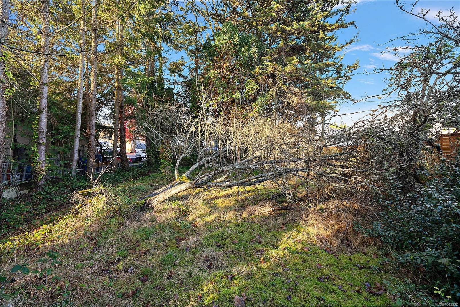 10211 Resthaven Dr, Sidney, BC