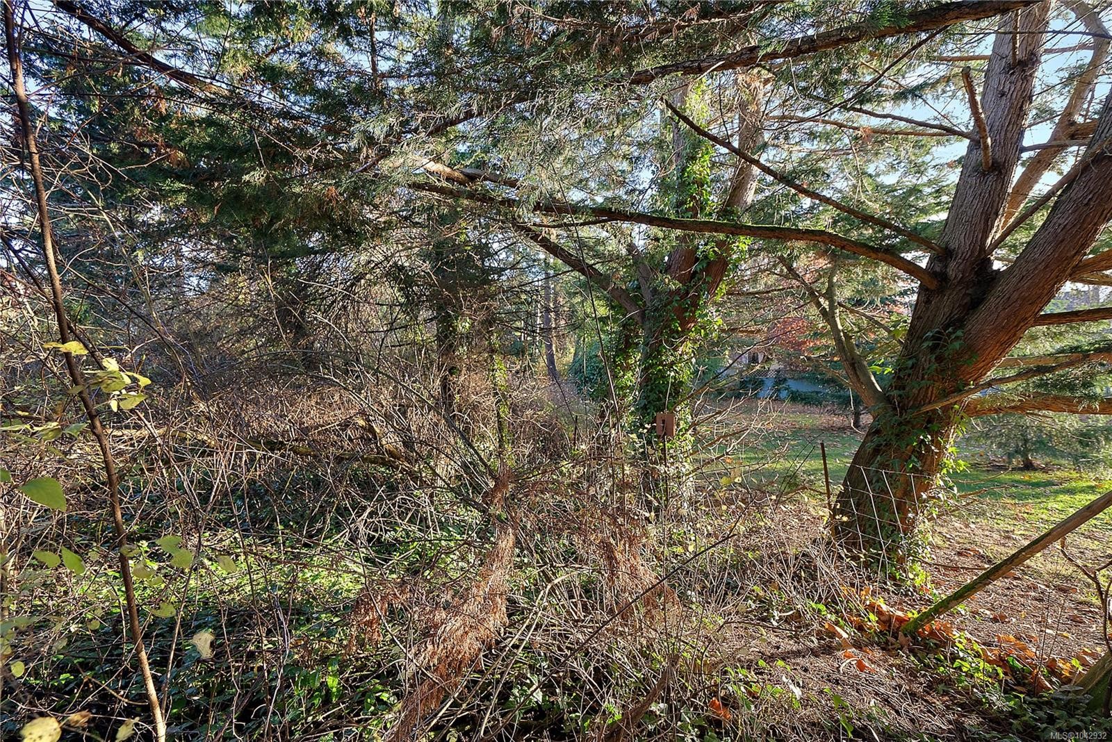 10211 Resthaven Dr, Sidney, BC