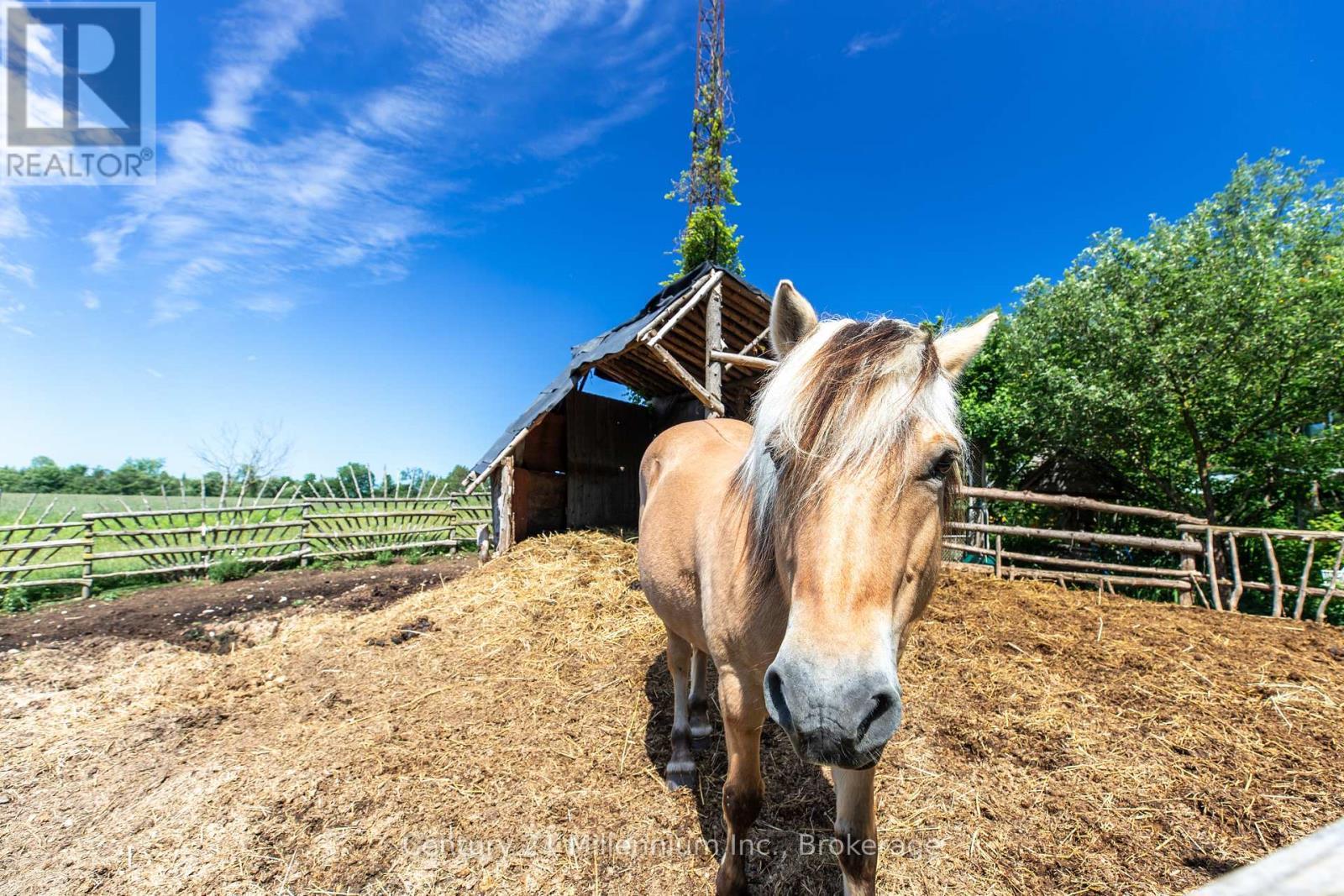 612608 Sideroad 61, Southgate, ON