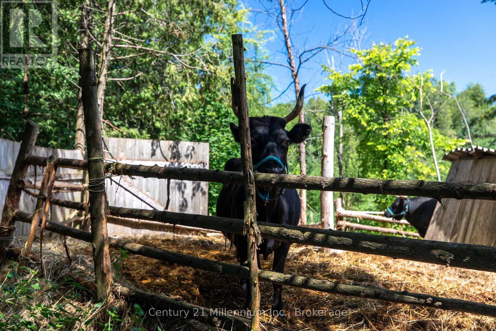 612608 Sideroad 61, Southgate, ON
