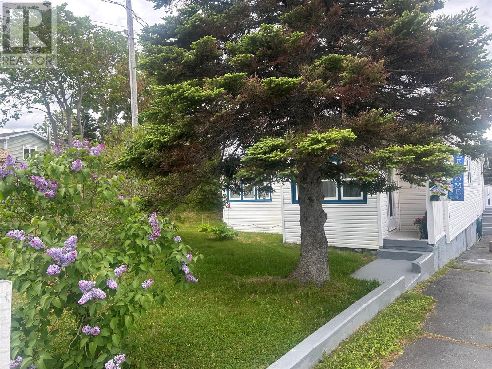336 Main Road, Winterton, NL
