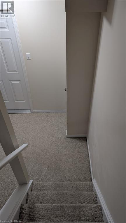 Carpeted staircase with white handrail leading to a landing with a paneled door, light-colored walls, and matching carpeting - 384 Pastern Trail, Waterloo, ON
