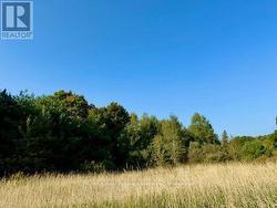 0 HWY 35 ROAD Kawartha Lakes (Laxton/Digby/Longford), ON K0M 1X0