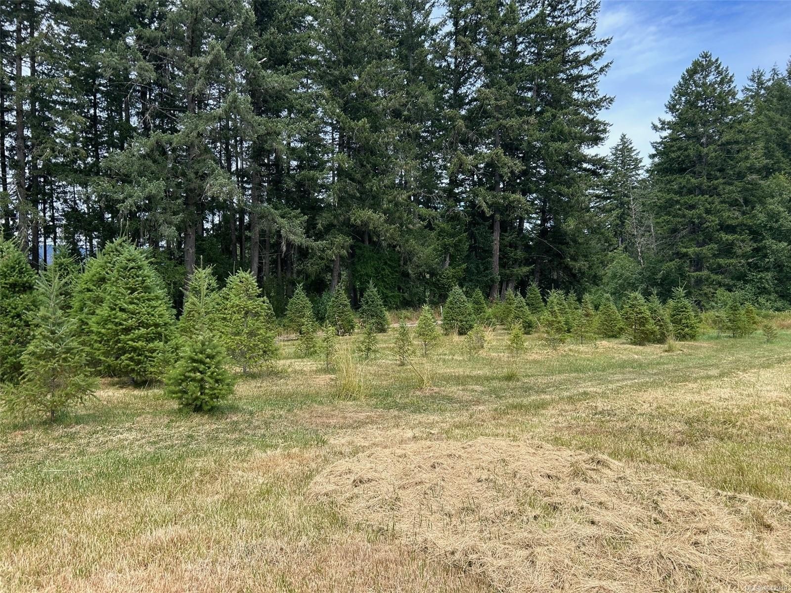 6458 Diana Dr, Duncan, BC