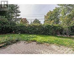 Yard/Garden. -