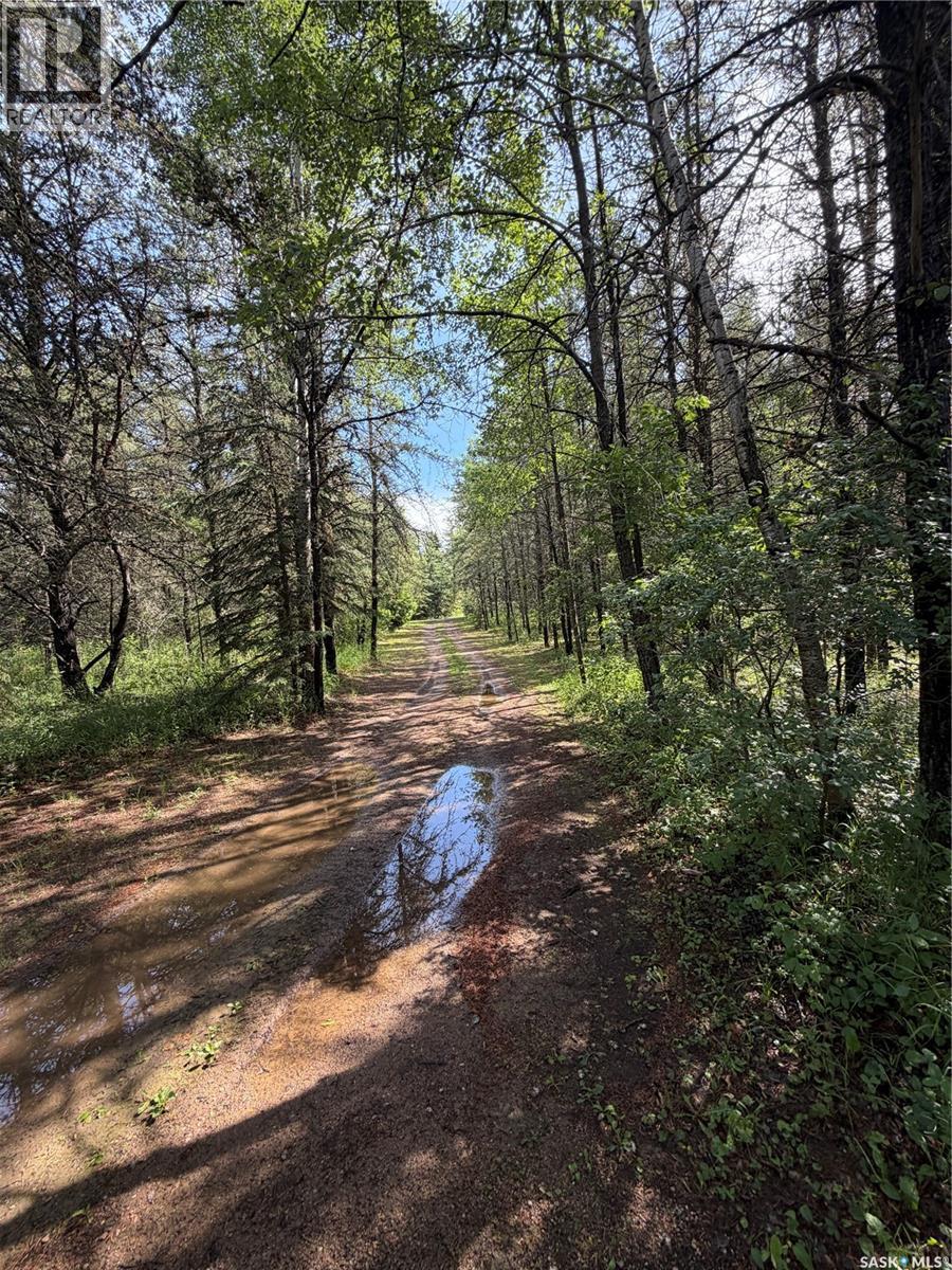 Neufeld Acreage, Big River Rm No. 555, SK