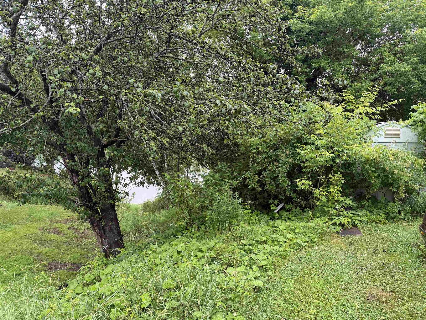 84 Warren Street, New Glasgow, NS