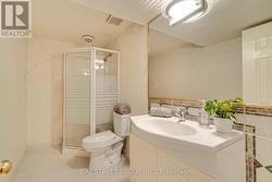 Bathroom in the Basement -