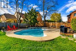 Backyard 02 -