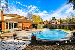 Backyard 05 -