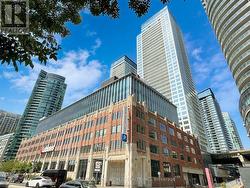 Loblaws shopping - 