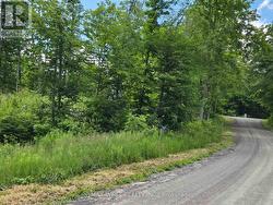 507 BLACK RIVER ROAD Tweed, ON K0K 3J0