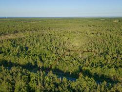 LOT 8 Mill Pond Road Millville, NS B1Y 2H2