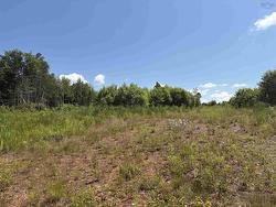 Mosher Road Rhines Creek, NS B0N 2H0