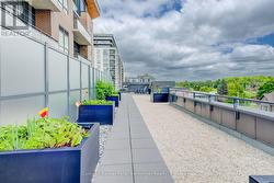 5th floor common terrace - 