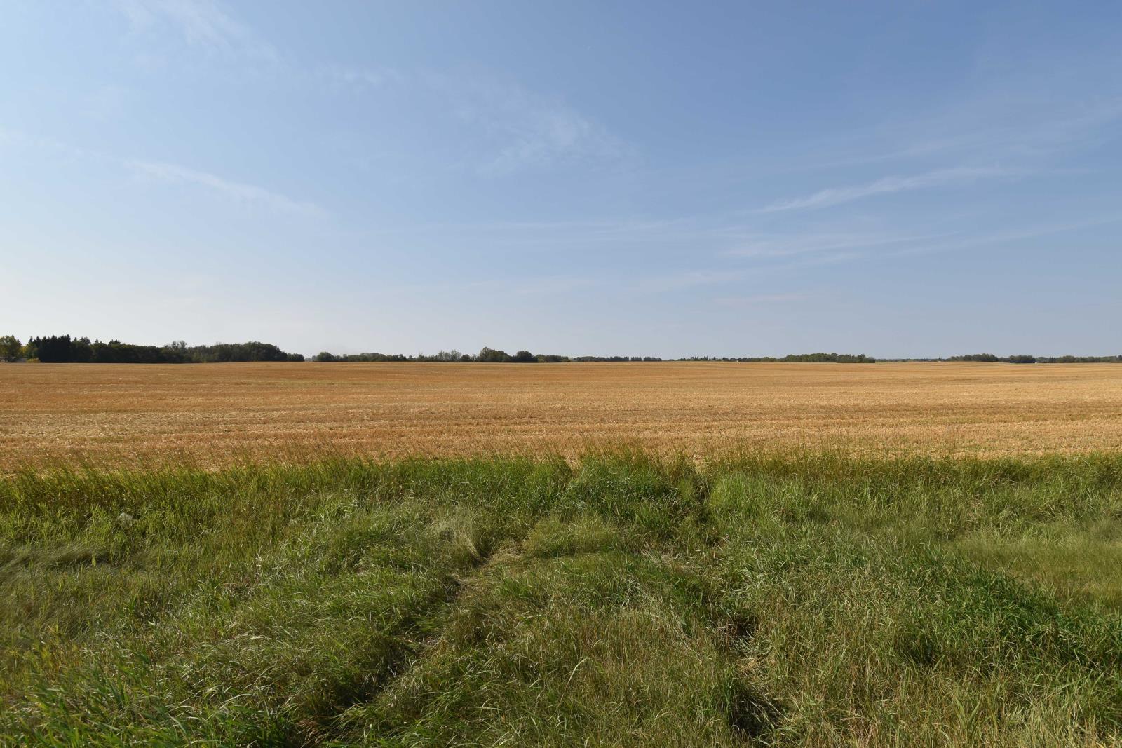 Rge Rd 274 And Twp Rd 523, Stony Plain, AB