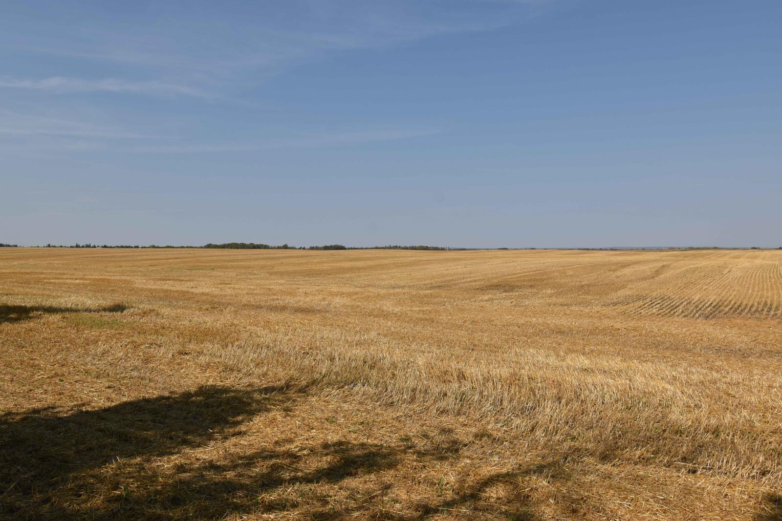 Rge Rd 274 And Twp Rd 523, Stony Plain, AB