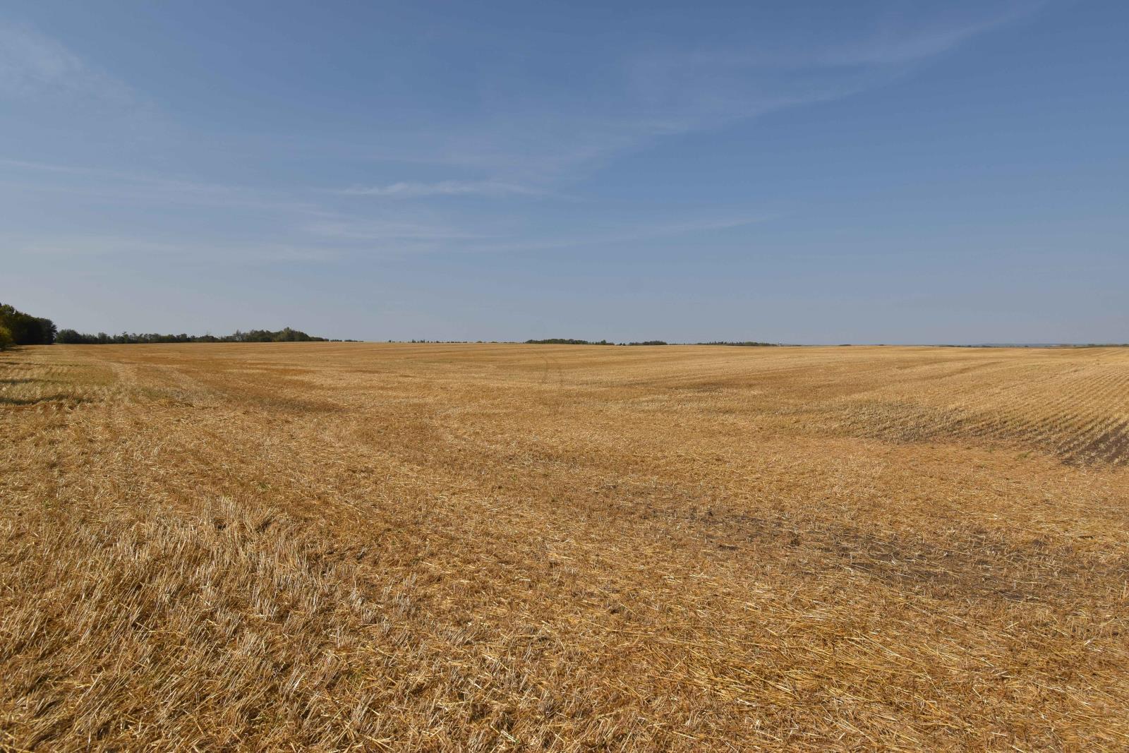 Rge Rd 274 And Twp Rd 523, Stony Plain, AB