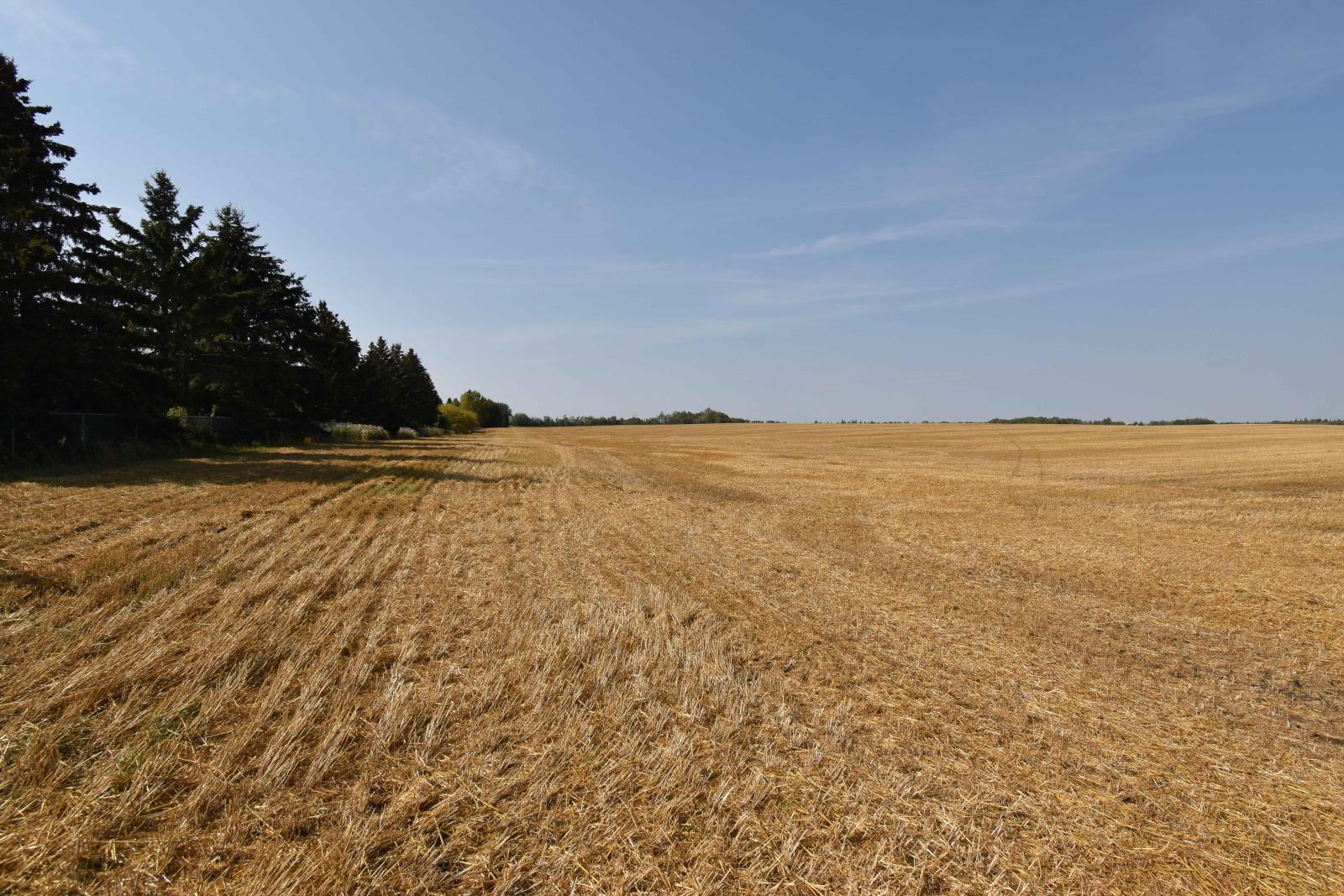 Rge Rd 274 And Twp Rd 523, Stony Plain, AB