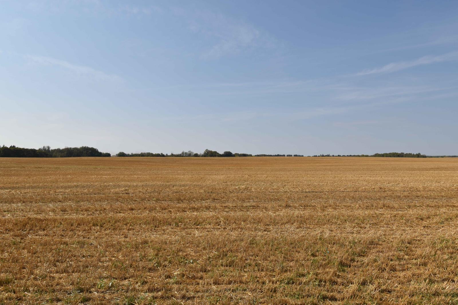 Rge Rd 274 And Twp Rd 523, Stony Plain, AB
