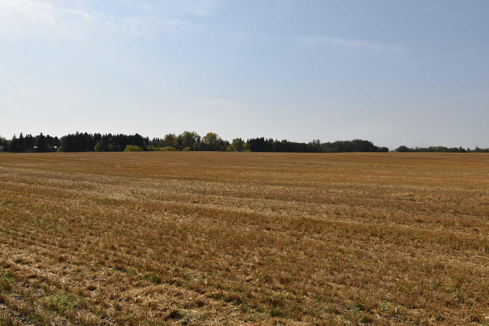 Rge Rd 274 And Twp Rd 523, Stony Plain, AB