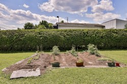Garden -