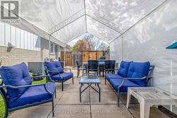 Backyard - 