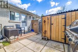 Backyard - 