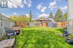 Backyard - 