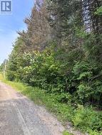 1A PT LT 12 CON 2 BOUNDARY ROAD Parry Sound Remote Area (Lount), ON P0A 1X0