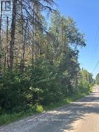 2A PT LT 12 CON 2 BOUNDARY ROAD Parry Sound Remote Area (Lount), ON P0A 1X0