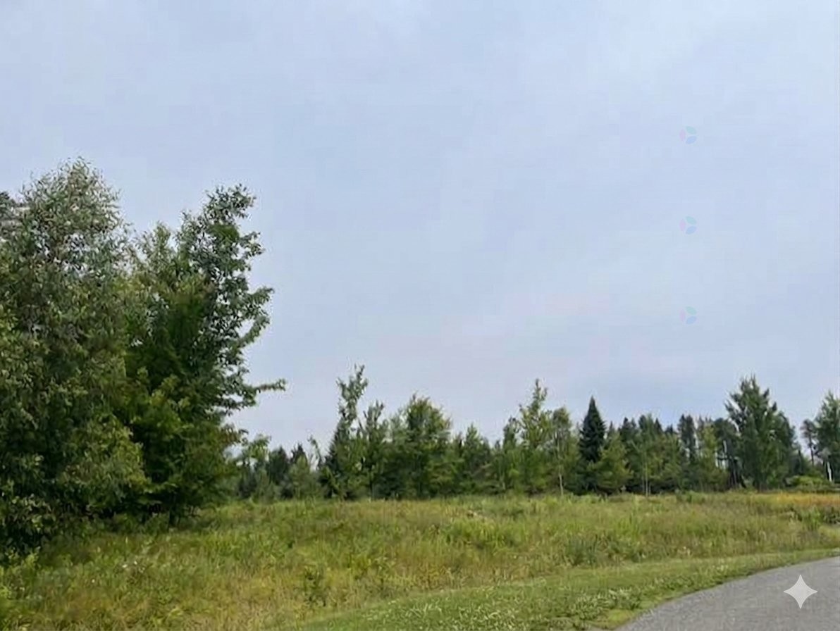 Terre/Terrain - Av. Du Collège, Saint-Benjamin, QC