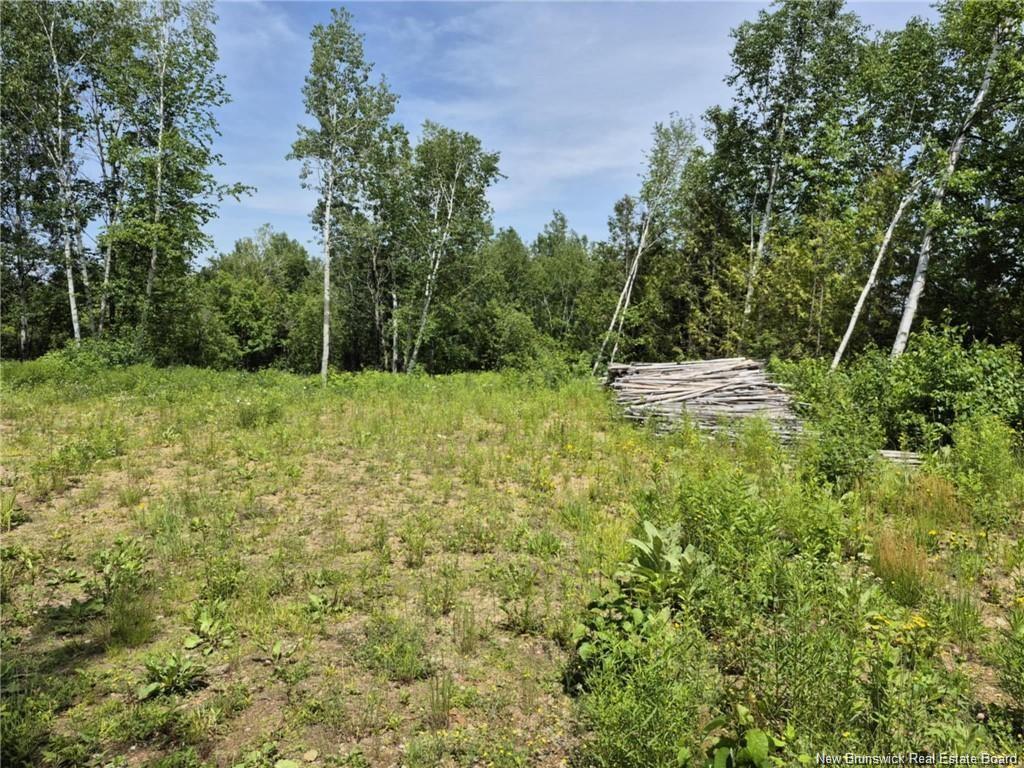 1 Acres Rue Amos, Sainte-Anne, NB