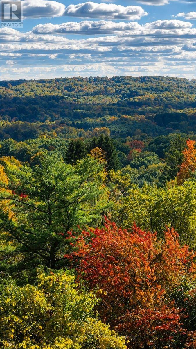 50 Oak Avenue, Hamilton, ON - Outdoor With View