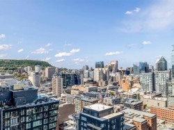 View -
