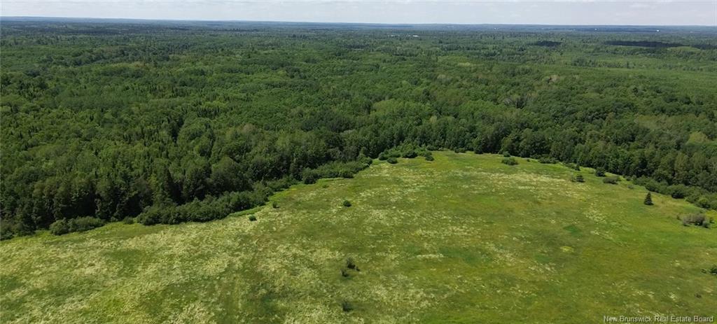 114.9 Acres Little River Dr, Bathurst, NB