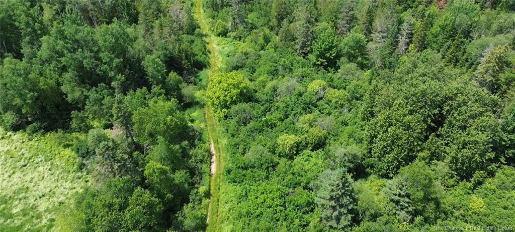 114.9 Acres Little River Dr, Bathurst, NB