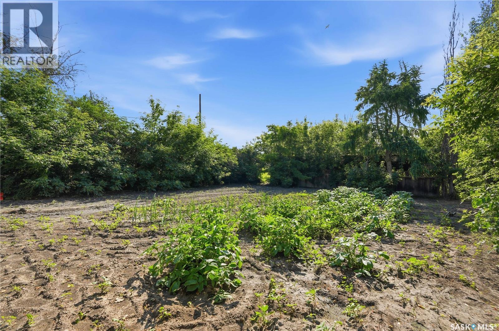 Thorhaug Acreage, Leask Rm No. 464, SK - Outdoor