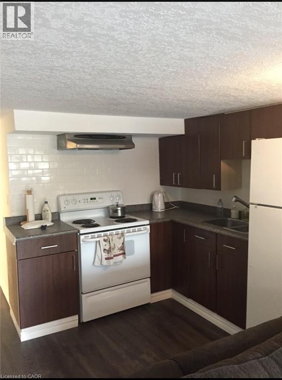 street level bonus kitchen - 456 Jackson Street W, Hamilton, ON - Indoor Photo Showing Kitchen