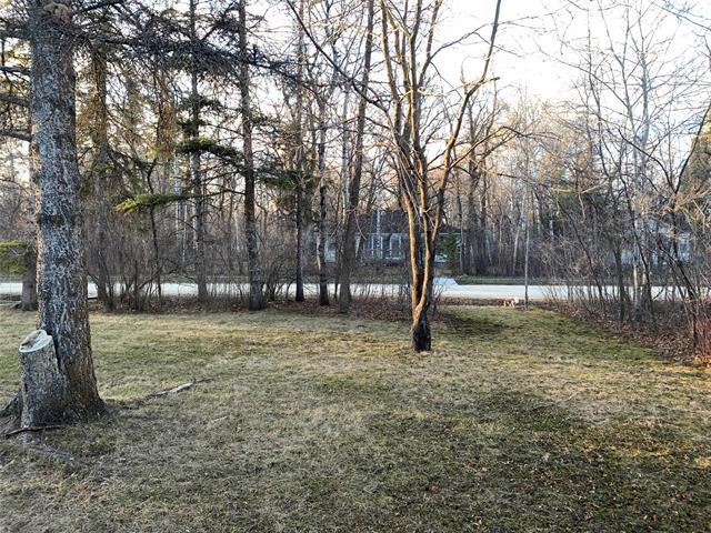 216 3Rd Ave, Winnipeg Beach, MB