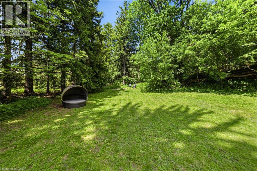 Expansive grassy area bordered by mature evergreen and deciduous trees - 3 Fallsview Road, Hamilton, ON - Outdoor