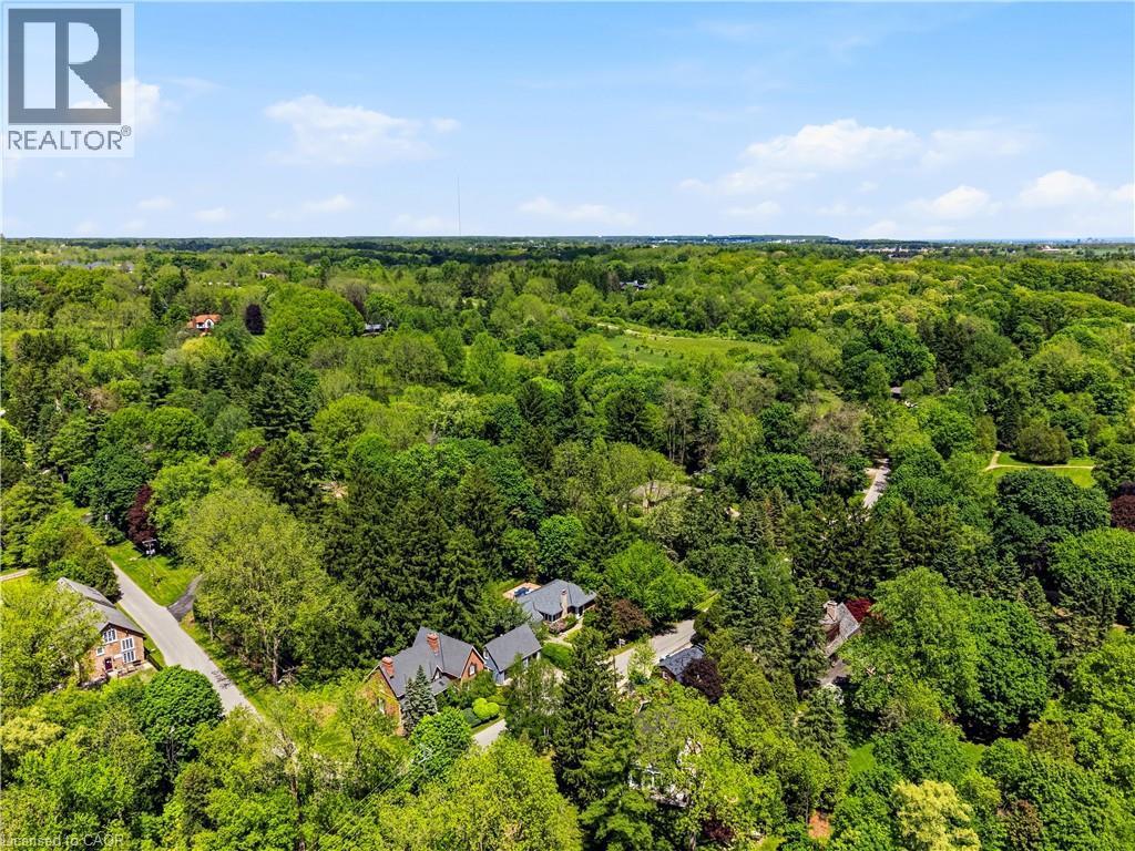 Aerial perspective highlighting a verdant landscape with mature trees and residential properties - 3 Fallsview Road, Hamilton, ON - Outdoor With View