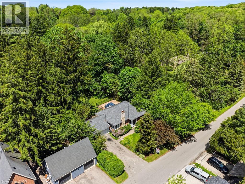 Aerial perspective showcasing a property surrounded by mature trees, featuring a gray shingle roof, a paved driveway, and lush green landscaping - 3 Fallsview Road, Hamilton, ON - Outdoor With View