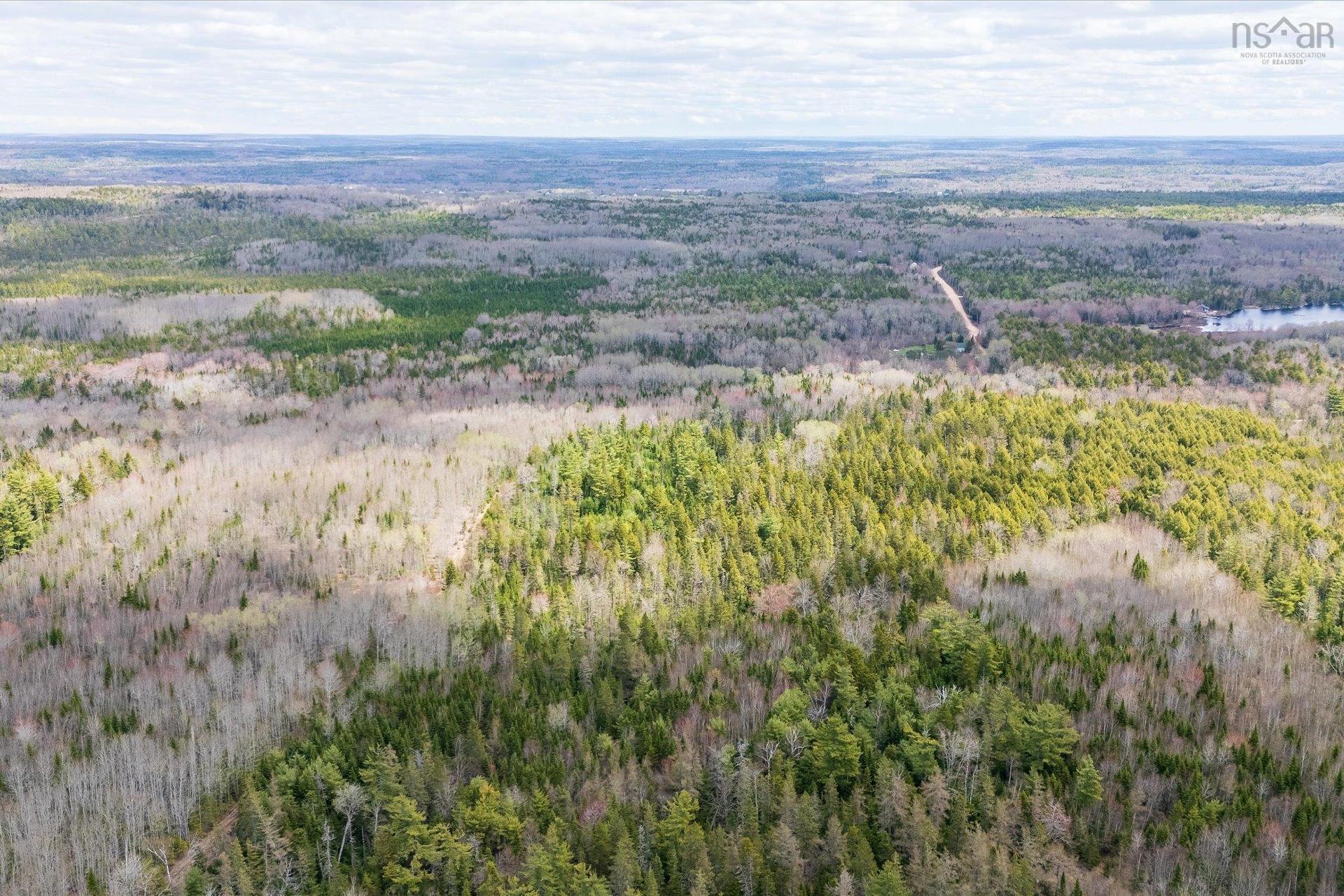 1170 Highway 10, Springfield, NS