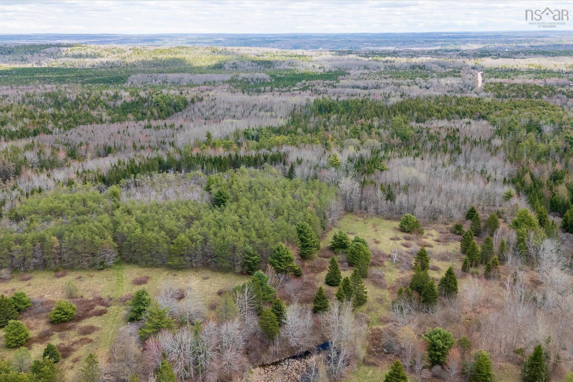 1170 Highway 10, Springfield, NS