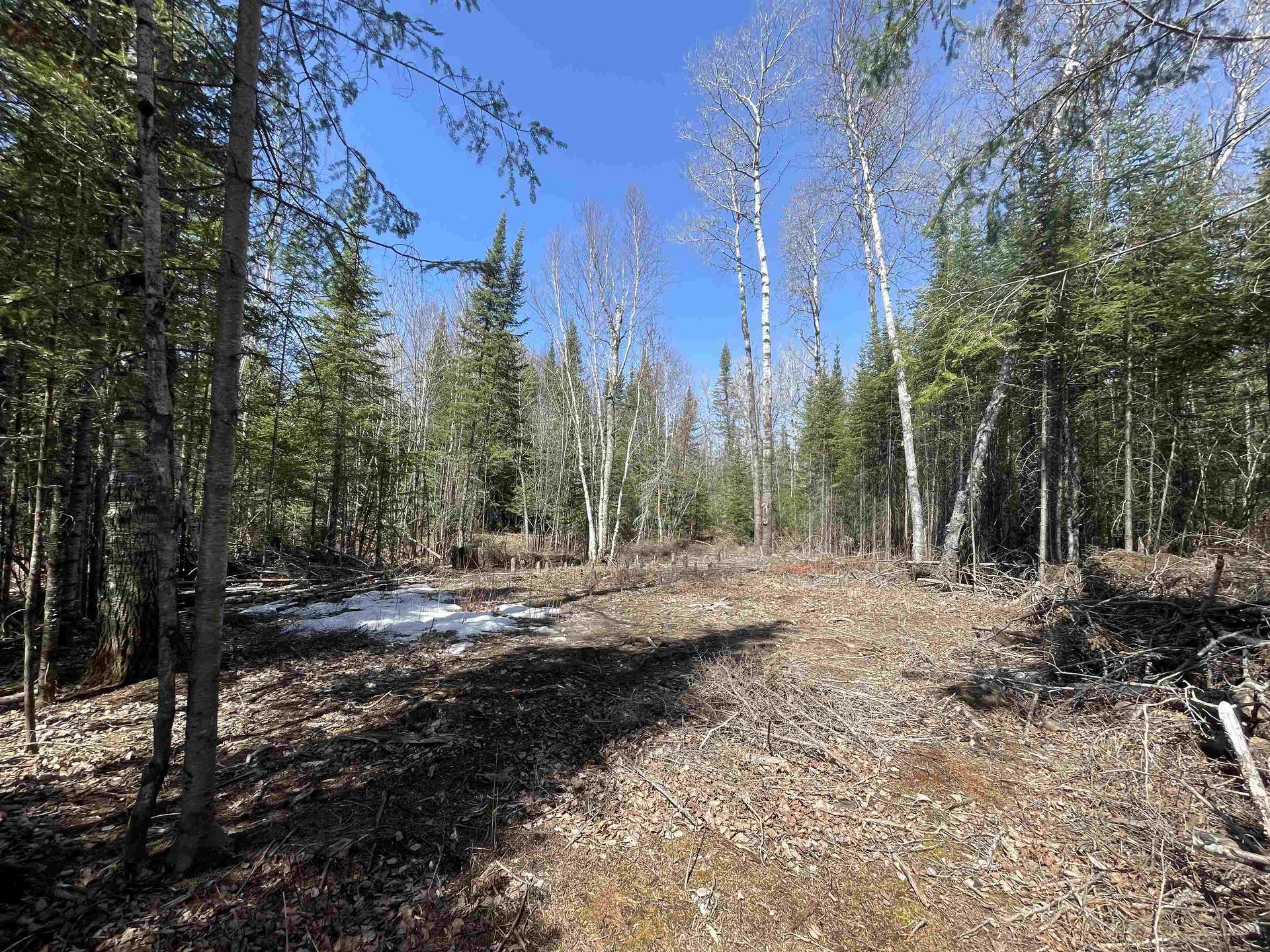 351 Thunder Lake Road, Dryden, ON
