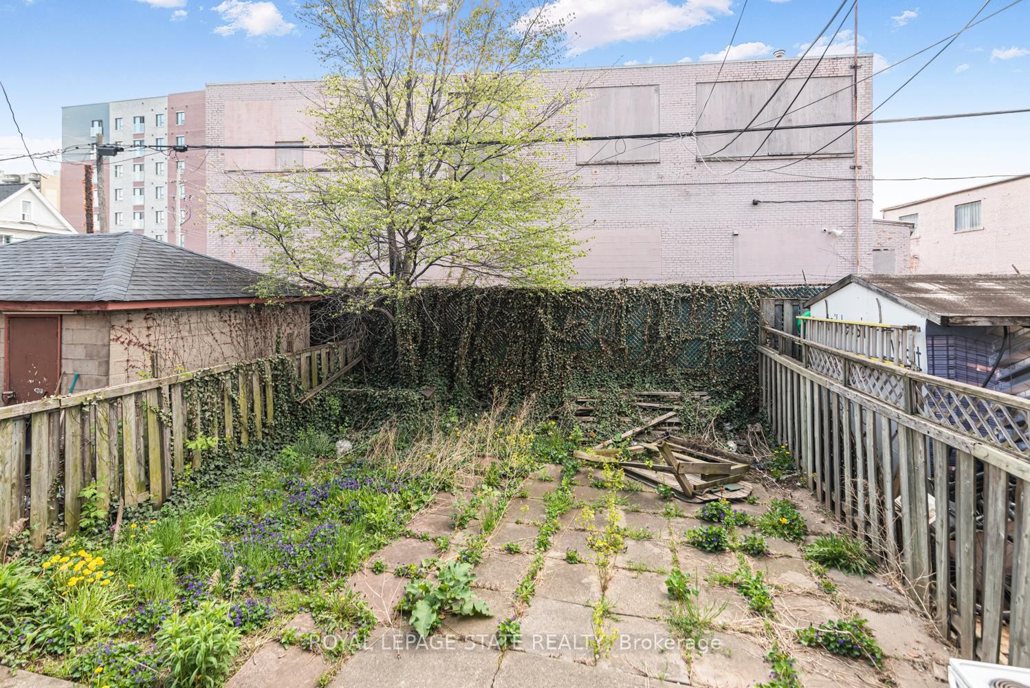 39 Arthur Avenue N, Hamilton, ON - Outdoor