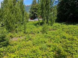 172 South Shore Rd Lake Cowichan, BC V0R 2G0