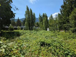 96 Cowichan Ave Lake Cowichan, BC V0R 2G0