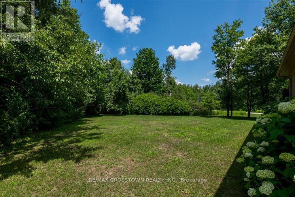 Side yard - 5 Pine Hill Drive, Springwater, ON - Outdoor